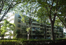 常盤平けやき通り住宅 外観写真