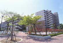 アルビス前原 外観写真