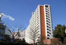 川口芝園 外観写真