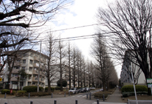 	小平	 建物写真