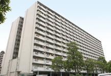 	大島七丁目	 建物写真