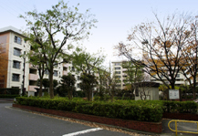 	金町五丁目	 建物写真