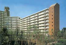 	西新小岩リバーハイツ	 建物写真