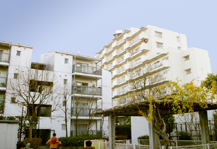 	木場公園三好住宅	 建物写真