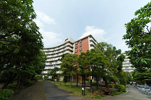	光が丘パークタウンゆりの木通り北	 建物写真