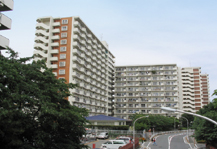 	品川八潮パークタウン潮路北第二ハイツ	 建物写真