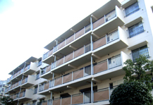 	木場公園平野住宅	 建物写真