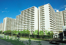	葛西クリーンタウン清新南ハイツ	 建物写真