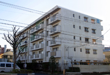 	エステート東堀切	 建物写真