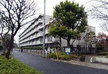 	エステート松江	 建物写真