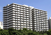 	品川八潮パークタウン潮路中央ハイツ	 建物写真