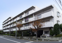 	メゾン堀切八丁目	 建物写真