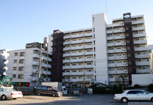 	木場公園平野三丁目ハイツ	 建物写真
