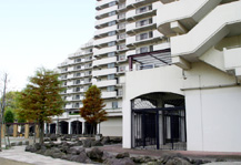 	哲学堂公園ハイツ	 建物写真