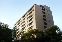 	コラム南青山	 建物写真