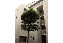 	パティオ新蒲田三丁目	 建物写真
