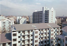 	新蓮根	 建物写真