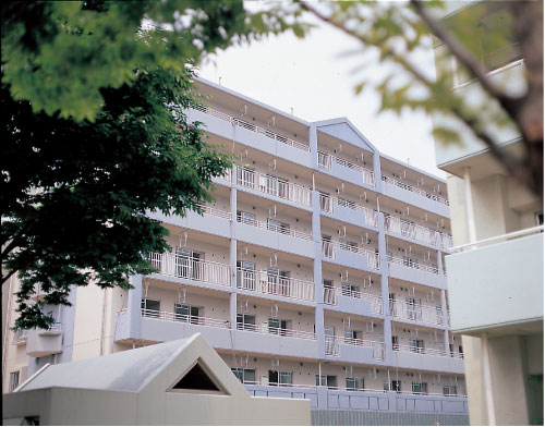 	経堂赤堤通り	 建物写真
