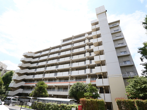 	新川・島屋敷通り	 建物写真