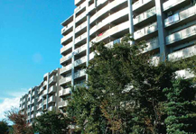	シティコート下連雀	 建物写真