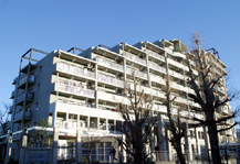 	ヴェッセル木場南	 建物写真