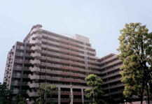 	アミティ南六郷	 建物写真