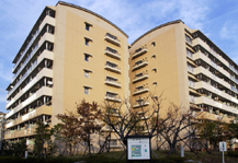 	金町第一	 建物写真
