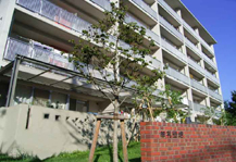 	牟礼	 建物写真