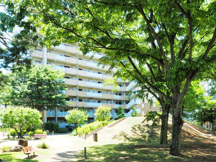 	ひばりが丘パークヒルズ	 建物写真